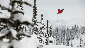 Bryan Fox: Powder & Pillows