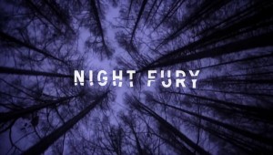 NIGHT FURY