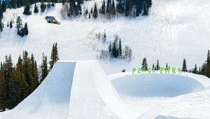Danny Davis - Peace Park 2014 Full Video