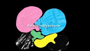 YOUGOFIRST: Nothing Really Extreme